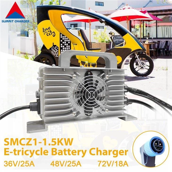 48V ই রিকশা ব্যাটারি চার্জার