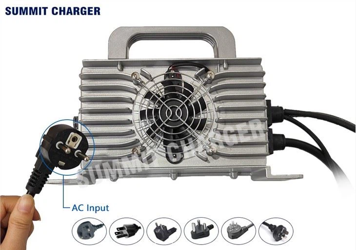 Lithium Phosphate Battery Charger
